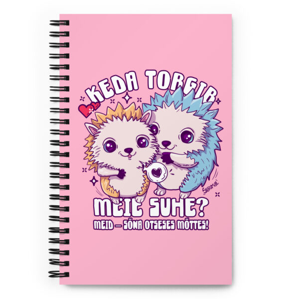 Meid torgib notebook